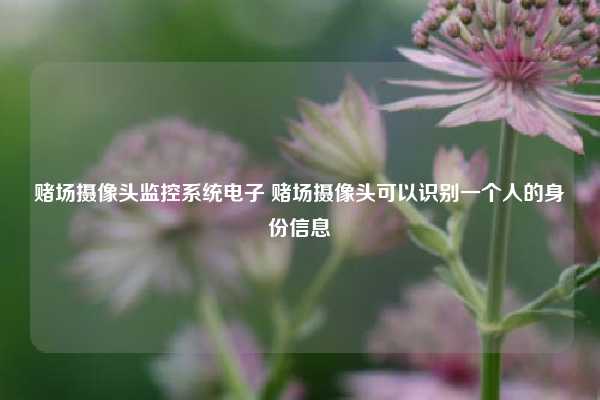 摄像头监控系统电子 摄像头可以识别一个人的身份信息