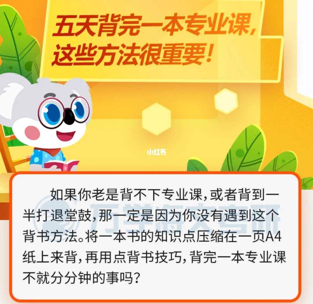 综合学习方法与技巧