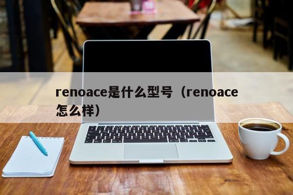 renoace参数配置图片