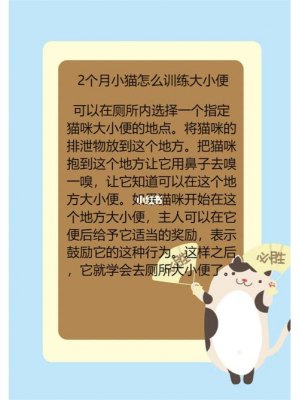 猫一般会选择什么样的地方大小便