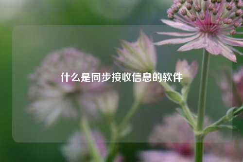 什么是同步接收信息的软件