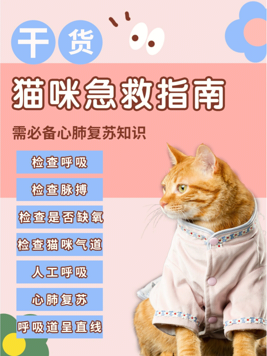 猫咪溺水怎么救_猫咪溺水解决方法_