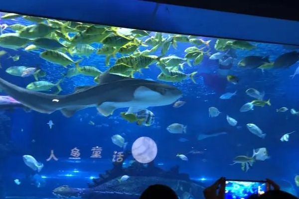 天津海洋馆在天津的哪个地
