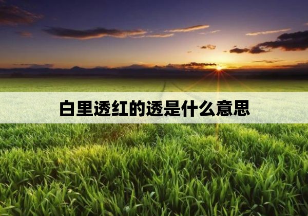 白里透红的透是什么意思