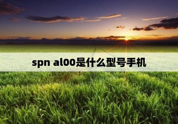 spn al00是什么型号手机