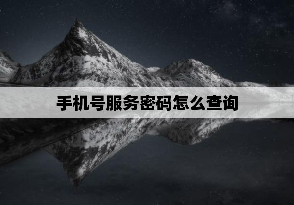 手机号服务密码怎么查询