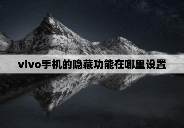 vivo手机的隐藏功能在哪里设置